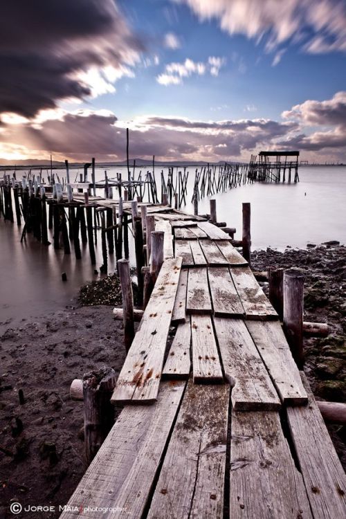 crescentmoon06:  The path by Jorge Maia on 500px 