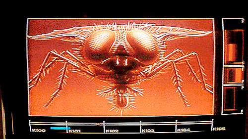 dailyflicks:THE FLY (1986) Directed by David
