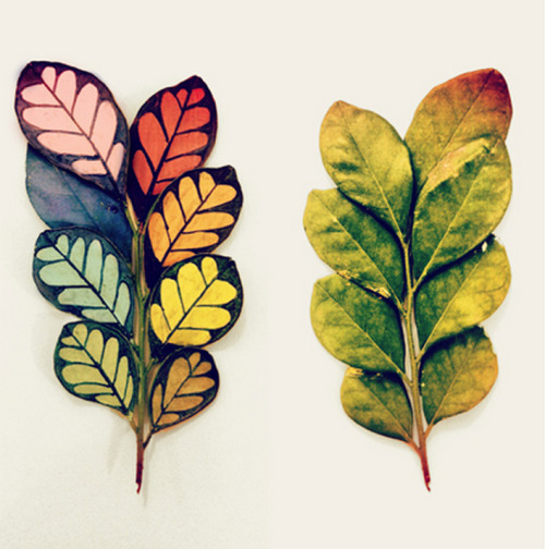 Autumn is approaching and that means fallen leaves. Brazilian artist Gabee Meyer uses leaves as a me