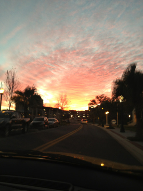 floridasunset