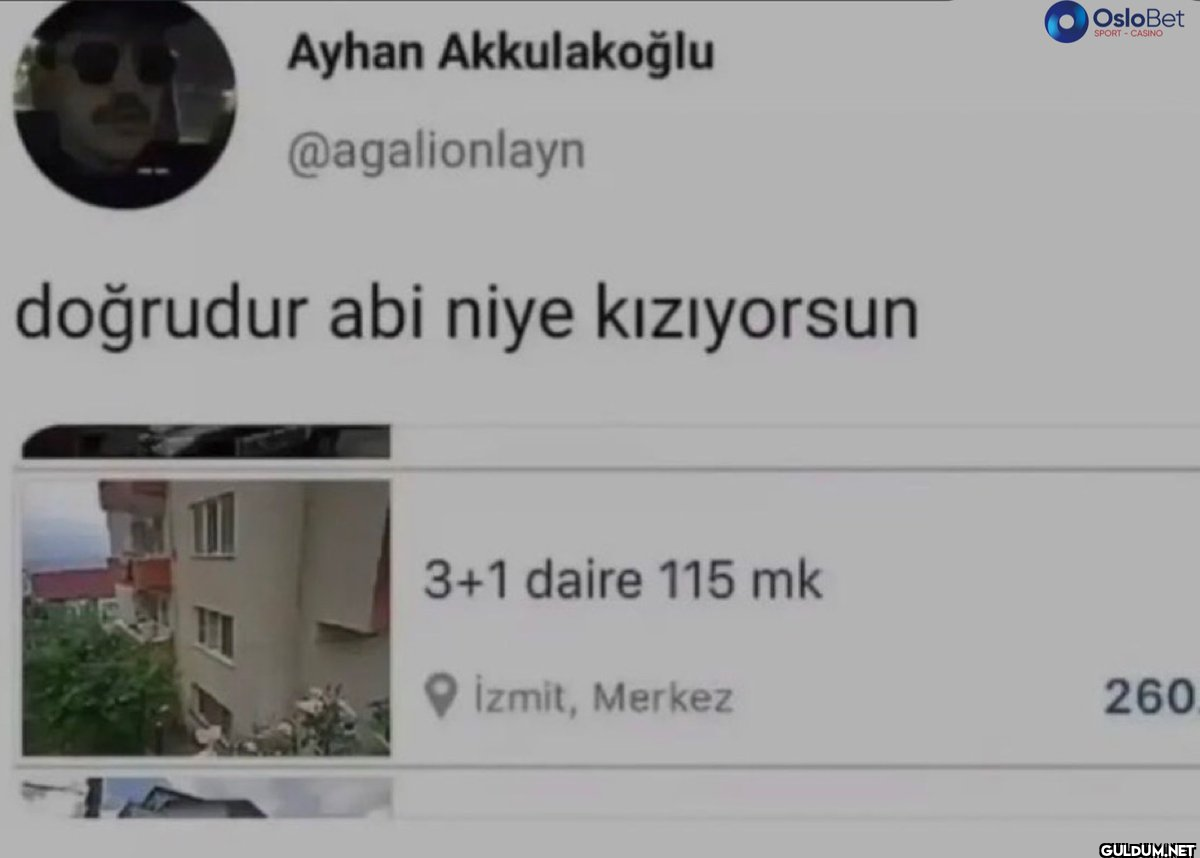 Ayhan Akkulakoğlu...