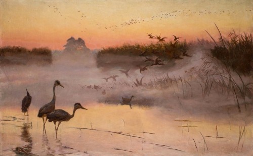 Dawn. The Kingdom of Birds (1906) by Józef Chełmoński (Polish, 1849–1914). Private collection.