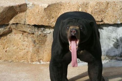 pleatedjeans:  Nature is Majestic (24 Pics) 