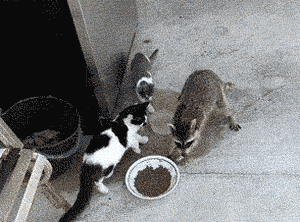 gufiaoo:  When my mom throws a family party      @all-mighty-powerful-poopie you