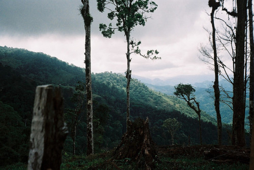 arquerio:  81 by casualblue on Flickr. 