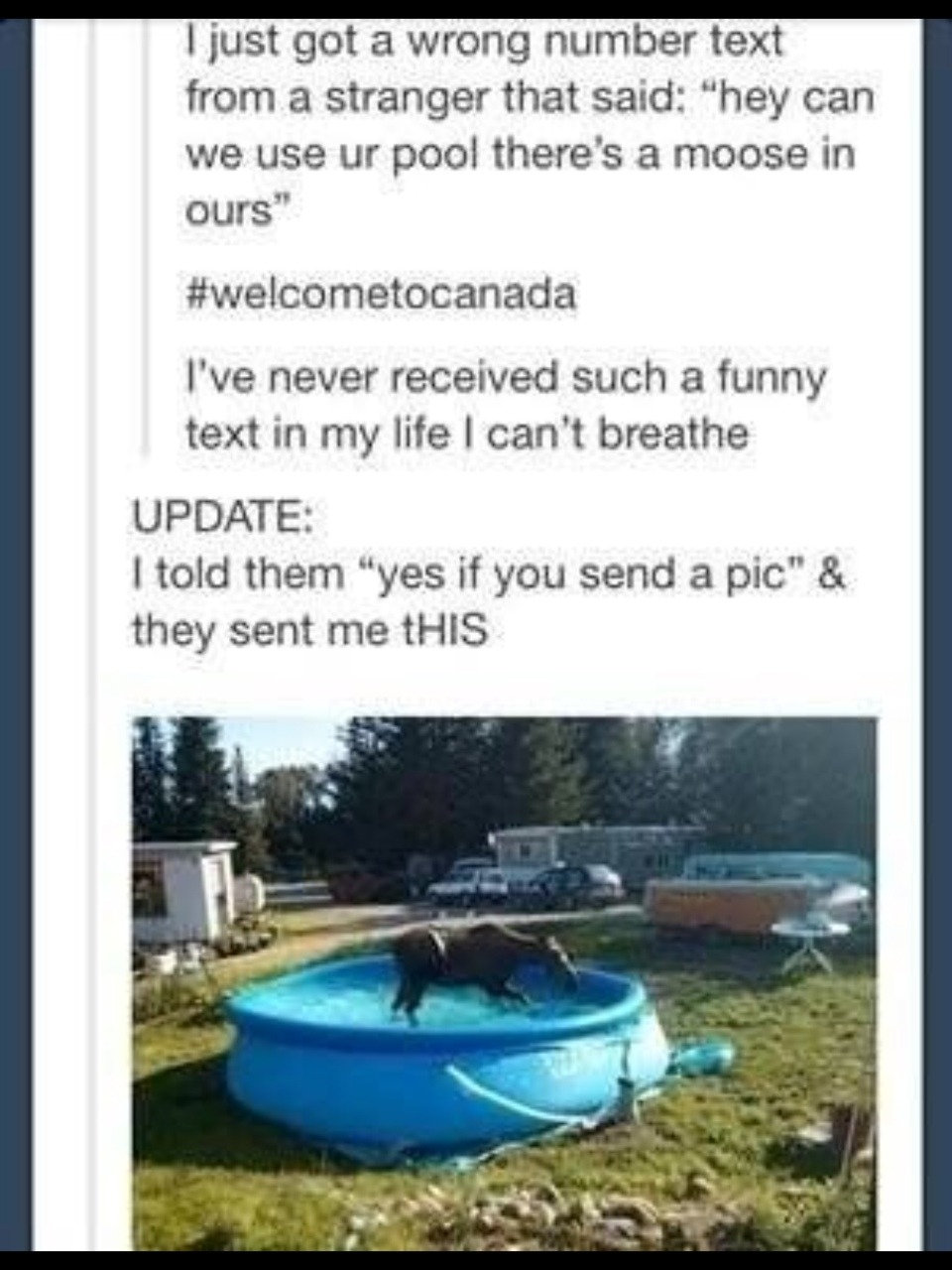 randomthingsthatilike123:  Best of Tumblr Part (1/?) Part 2 Part 4