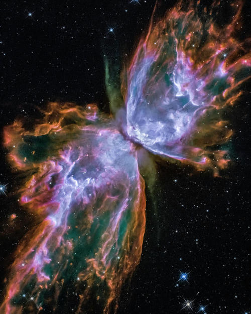 the-wolf-and-moon:  NGC 6302, Butterfly Nebula