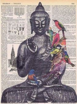 manuoli:  “Sai e busca.” Buda