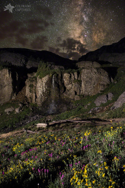 outdoormagic:Wildflower Nightscape In Porphyry Basin by Mike Berenson - Colorado Captures on Flickr.
