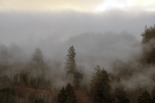 russell-tomlin:Fog on a Hill