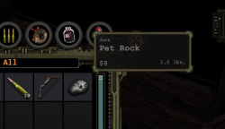 Pet Rocks