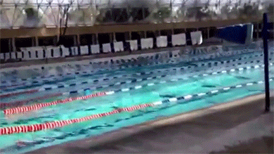 blazepress:  A swimming pool during an earthquake.