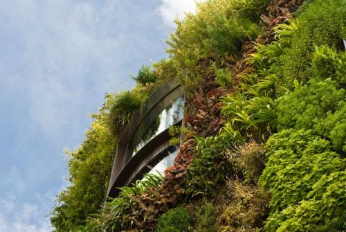 neuromanticism: abluegirl: Living Wall These vegetated surfaces don’t just look pretty. They h
