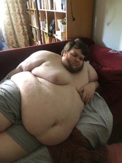 fatbestfriend:  dumbass-feeder:  low-effort-fat-morphs:  fatbestfriend:  Sundays are for napping    @fatbestfriend htbgmjfjcgbmkch  I’m mad that this is so funny I can’t even be mad.   Omfg
