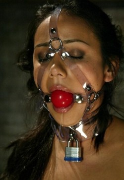 syllieslave:  Harness Ball Gag and Collar, all straps TIGHT and locked with a padlock. Put the keys in another room and keep everything locked for at least 1 hour.