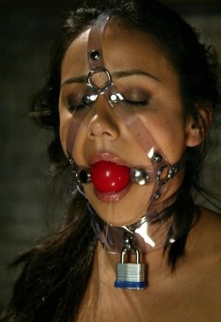 syllieslave:  Harness Ball Gag and Collar,