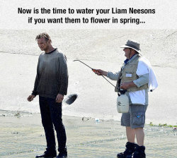 srsfunny:  Remember To Water Your Liam Neeson