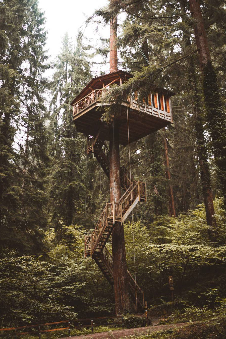 pir-ado:  banshy:Untitled by Leire Unzueta  .