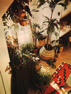 bilbao-song:  Indoor plants featured in the Better Homes and Gardens Favorite Houseplants book, 1976