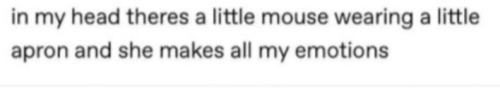 MBTI As Funny Things On The Internet : Introvert Edition