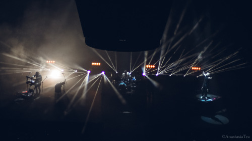 LOVE LUST FAITH + DREAMS