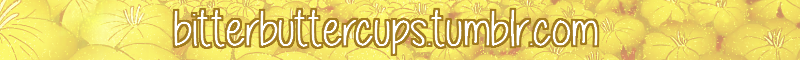 bitterbuttercups:2005 Botcon Exclusive Flamewar