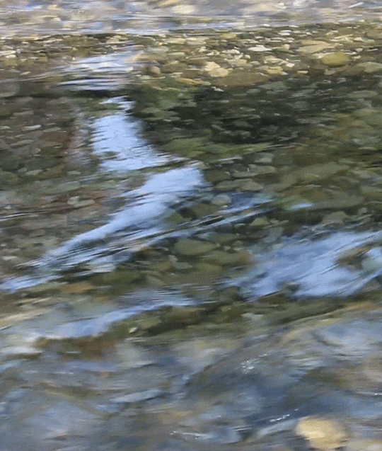 Flying Watersgif by riverwindphotography, August 2017