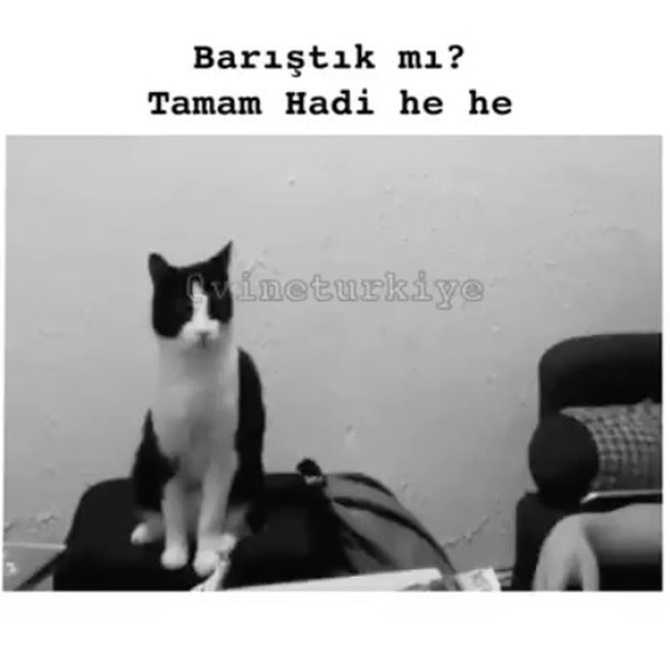 Barıştık mı?
Tamam hadi he he