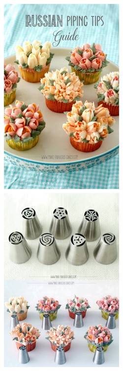 How to Use Russian Piping TipsFor years now I’ve been wanting to try Russian cake decorating tips. Y