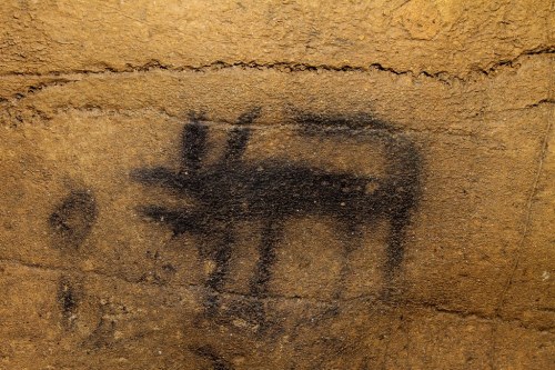 lychens:Quadruped “Puppy”1200 AD Prehistoric Cave Art.60th Unnamed Cave, TN