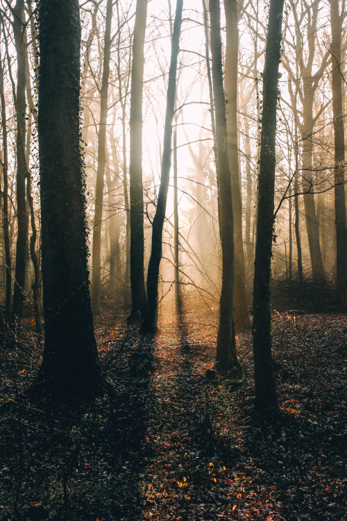 olli-dressler:  Photographer