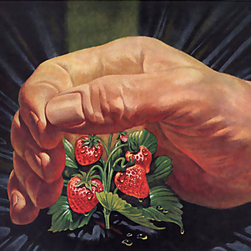 danismm:Detail Of Union Carbide Strawberries Vintage Advertisement Poster  by MADMENART