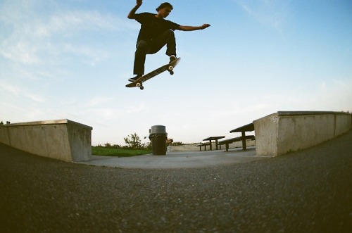 ryan ollie