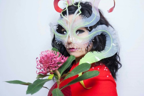 Björk at Red Bull Music Academy, Photographed by Santiago Felipe.