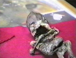 Aleshenka Erashov (Russian: Алёшенька, Alyoshenka, a hypocoristic for the Russian male first name Alexey) was a small creature allegedly found in the village of Kaolinovy, near Kyshtym, Chelyabinsk Oblast, Russia in August 1996. Aleshenka was