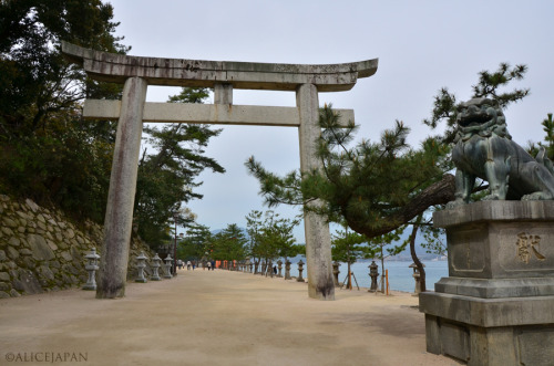 Miyajima 宮島 2012年04月16日