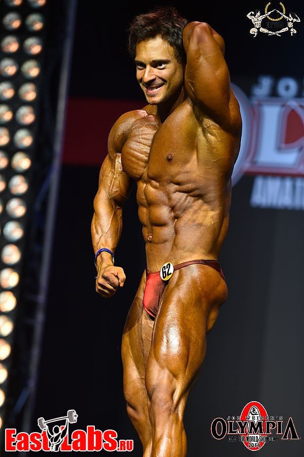 Muscle Blog