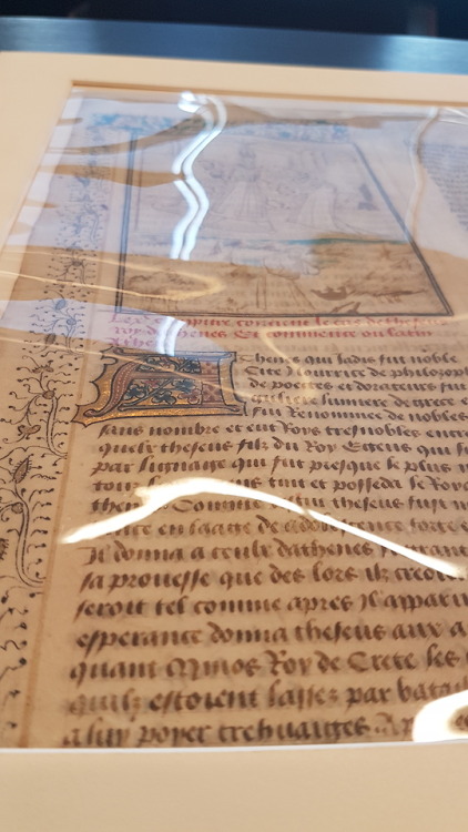 LJS 255 -  Manuscript leaf from De casibus virorum illustriumLeonardo da Vinci used to say that “Art