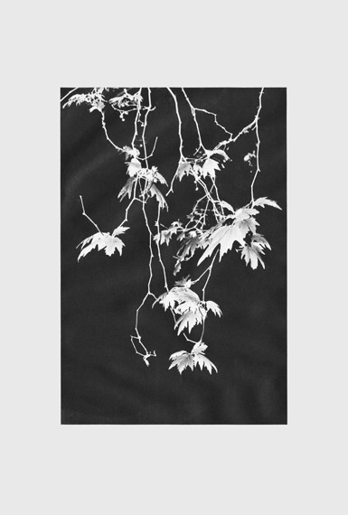 outsh:  Jacob Ring 
