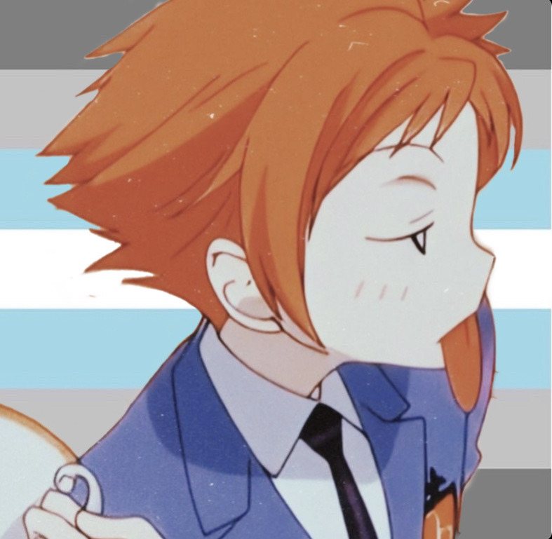 Mikey Agender Hosts If Theres Any Specific Flags And Mikey Agender Hosts If Theres Any Specific Flags And