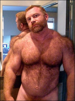 banjeebear:RED BEAROMG