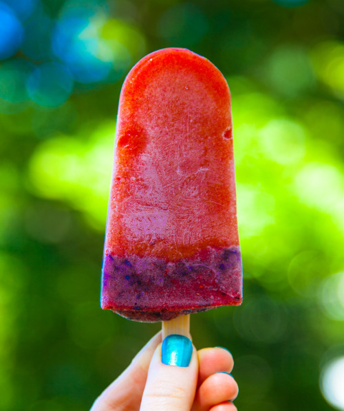 Olenko’s Summer Fairyland Raw Vegan Popsicles In the Vitamix or high speed blender mix : organ
