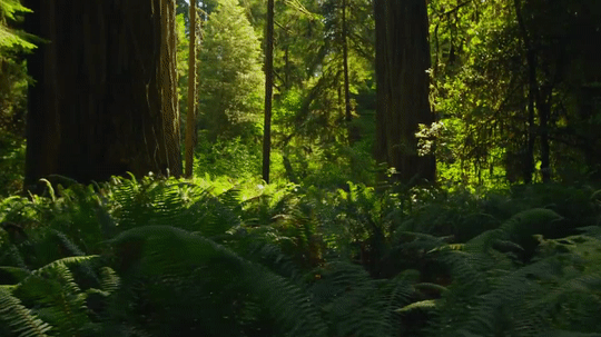 Aesthetics Green Green Green Juicifruit Green Aesthetic More