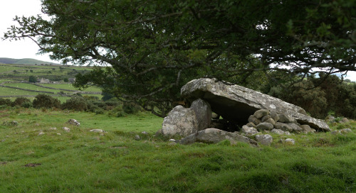 Cors y Gedol Burial Chamber, near Barmouth, North Wales, 13.8.16. This portal dolmen has an amazing 