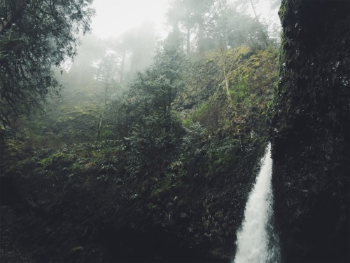 justapplyyourself:Latourell Falls. Columbia River Gorge, Oregon.