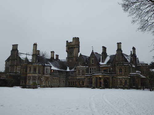 Insole Court in the snow yesterday