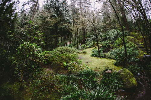 talltalememory:Portland Japanese Garden