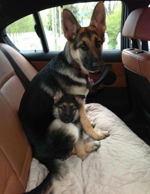 Awwww