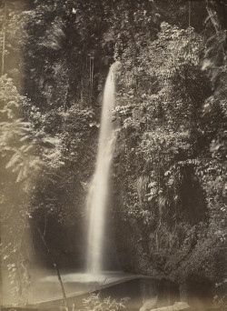 dame-de-pique: Cascade, Botanical Gardens, St Pierre, Martinique 1880  
