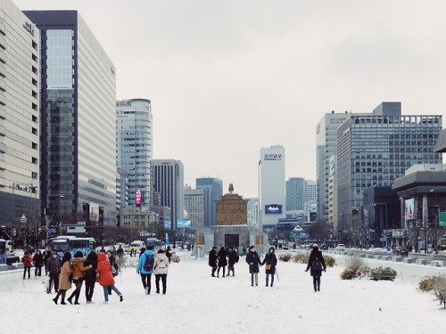 Gwanghwamun Plaza and Gyeongbukgung Palace on the first snow of the year.